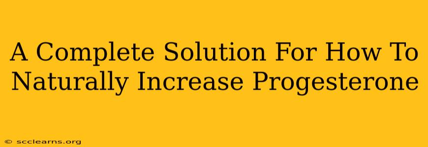 A Complete Solution For How To Naturally Increase Progesterone