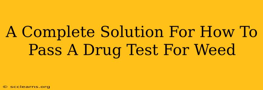 A Complete Solution For How To Pass A Drug Test For Weed