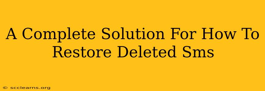 A Complete Solution For How To Restore Deleted Sms