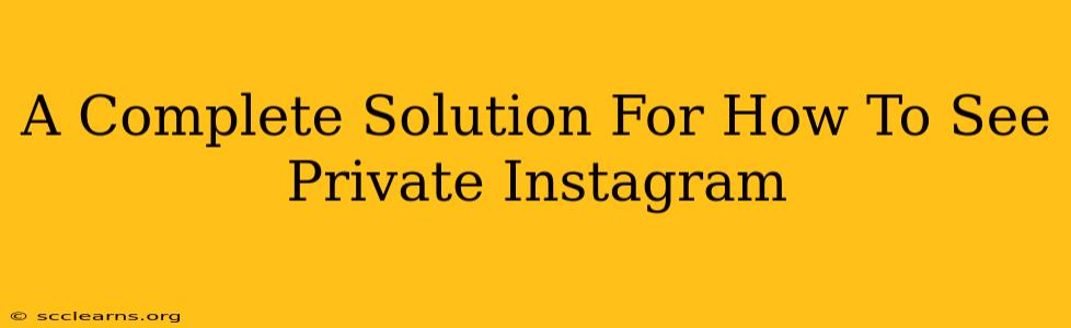 A Complete Solution For How To See Private Instagram