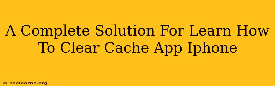 A Complete Solution For Learn How To Clear Cache App Iphone