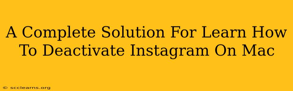 A Complete Solution For Learn How To Deactivate Instagram On Mac