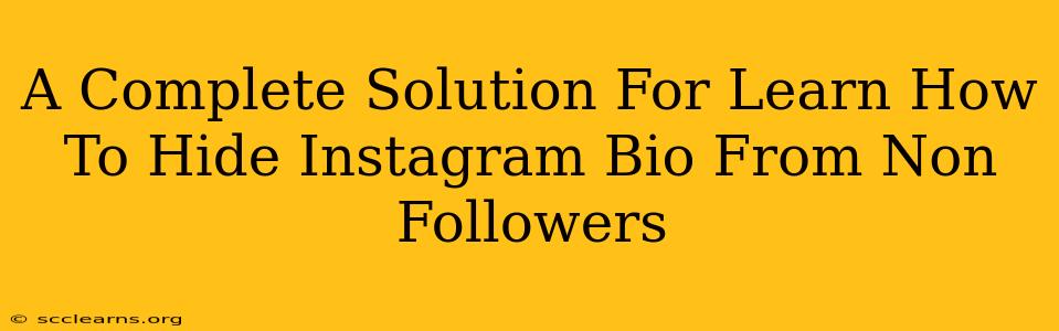 A Complete Solution For Learn How To Hide Instagram Bio From Non Followers