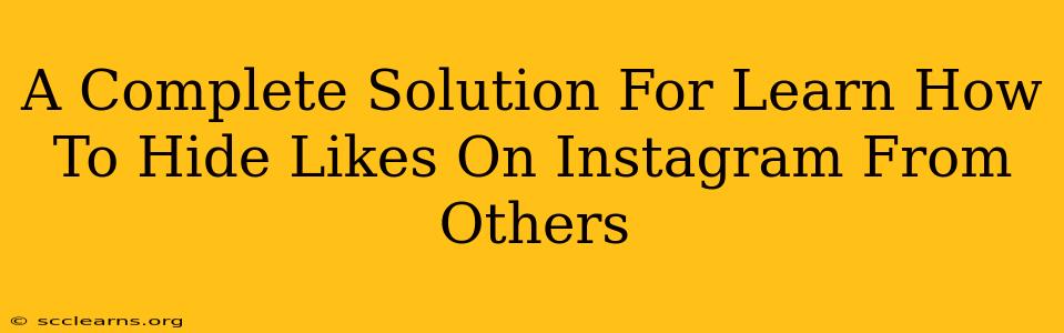 A Complete Solution For Learn How To Hide Likes On Instagram From Others