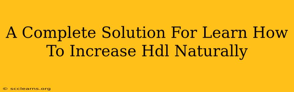 A Complete Solution For Learn How To Increase Hdl Naturally