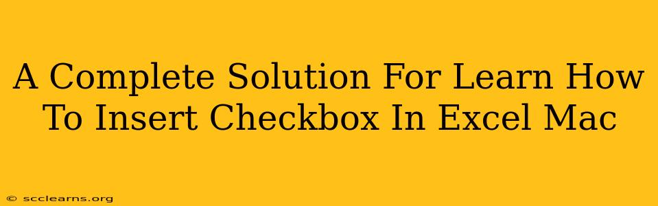 A Complete Solution For Learn How To Insert Checkbox In Excel Mac