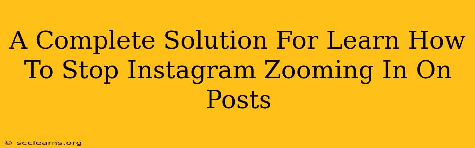 A Complete Solution For Learn How To Stop Instagram Zooming In On Posts