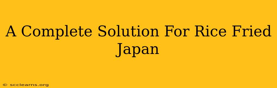 A Complete Solution For Rice Fried Japan