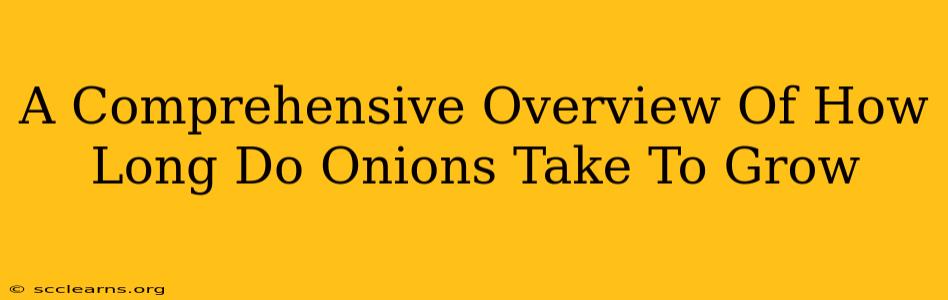 A Comprehensive Overview Of How Long Do Onions Take To Grow