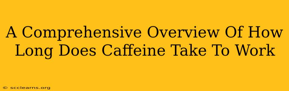 A Comprehensive Overview Of How Long Does Caffeine Take To Work