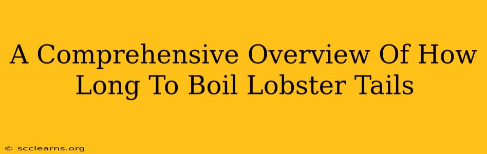 A Comprehensive Overview Of How Long To Boil Lobster Tails