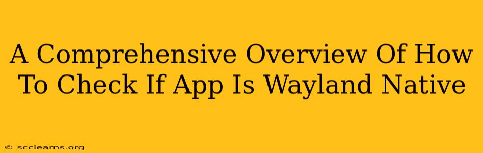 A Comprehensive Overview Of How To Check If App Is Wayland Native