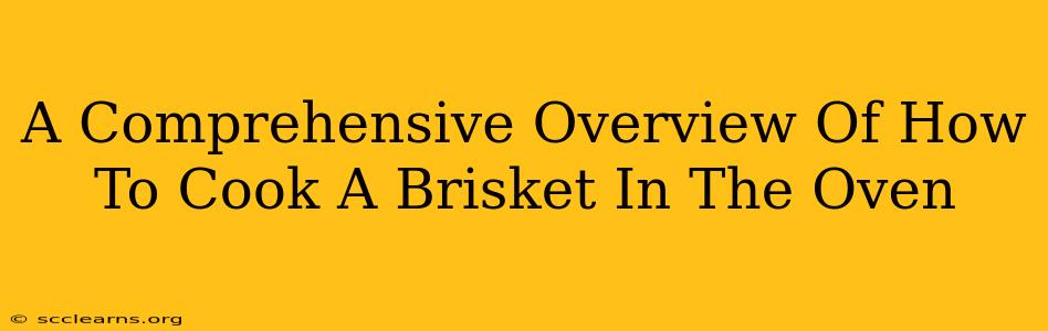 A Comprehensive Overview Of How To Cook A Brisket In The Oven