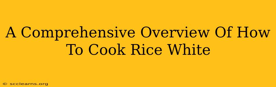 A Comprehensive Overview Of How To Cook Rice White