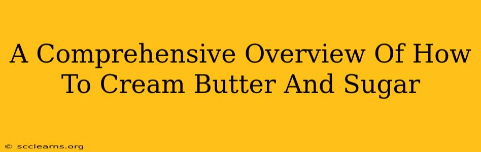 A Comprehensive Overview Of How To Cream Butter And Sugar