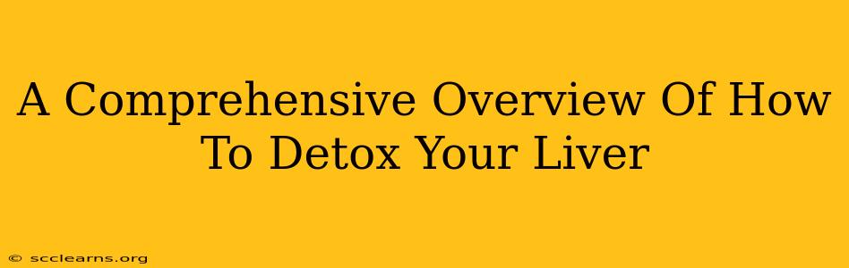 A Comprehensive Overview Of How To Detox Your Liver