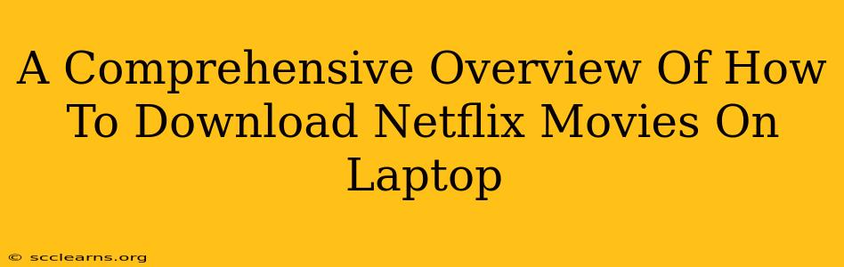 A Comprehensive Overview Of How To Download Netflix Movies On Laptop