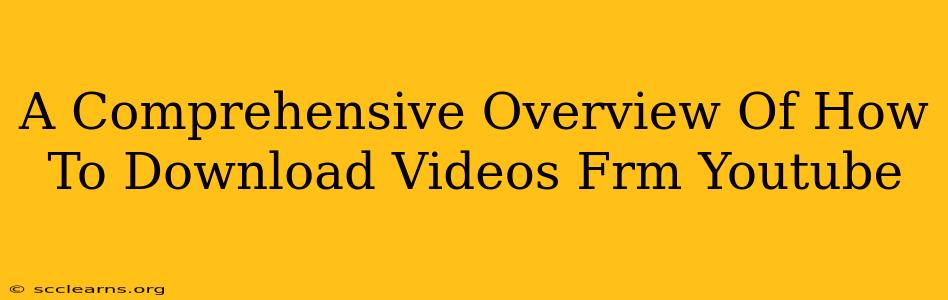 A Comprehensive Overview Of How To Download Videos Frm Youtube