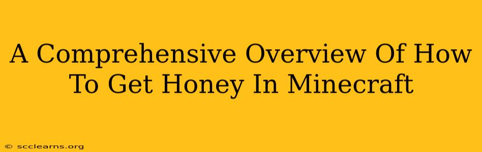 A Comprehensive Overview Of How To Get Honey In Minecraft