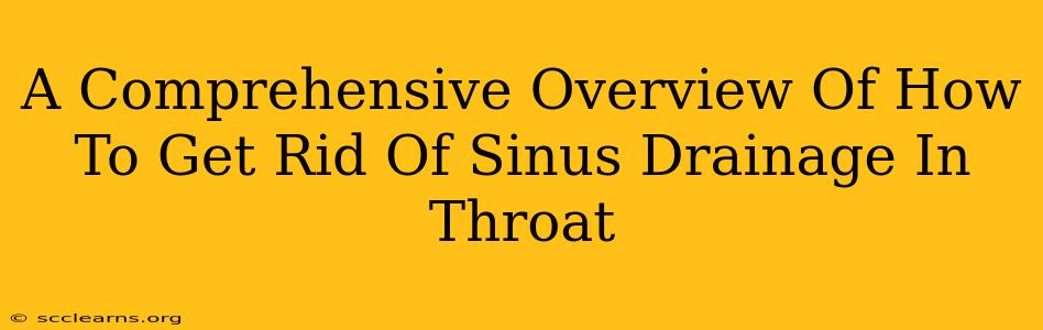 A Comprehensive Overview Of How To Get Rid Of Sinus Drainage In Throat