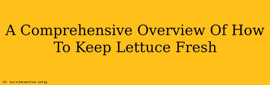 A Comprehensive Overview Of How To Keep Lettuce Fresh