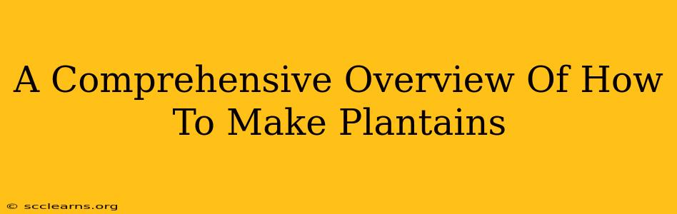 A Comprehensive Overview Of How To Make Plantains