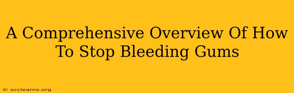 A Comprehensive Overview Of How To Stop Bleeding Gums