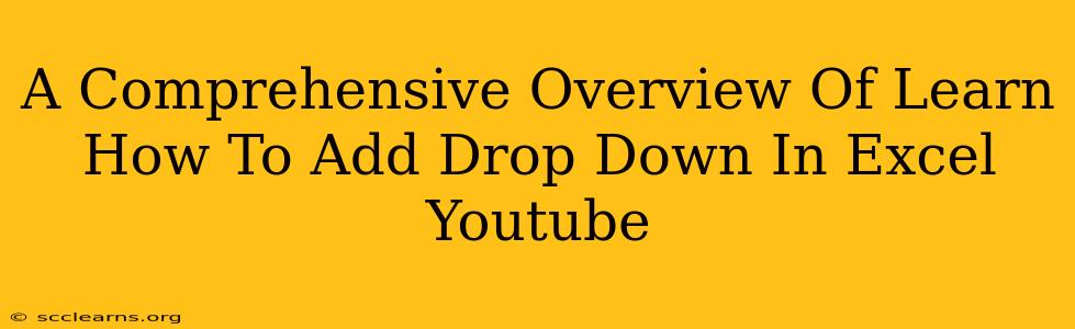 A Comprehensive Overview Of Learn How To Add Drop Down In Excel Youtube