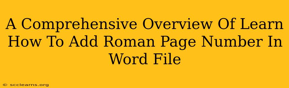 A Comprehensive Overview Of Learn How To Add Roman Page Number In Word File