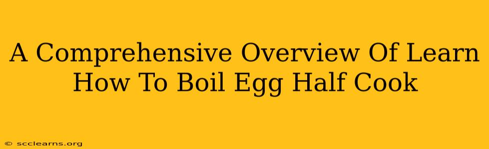 A Comprehensive Overview Of Learn How To Boil Egg Half Cook