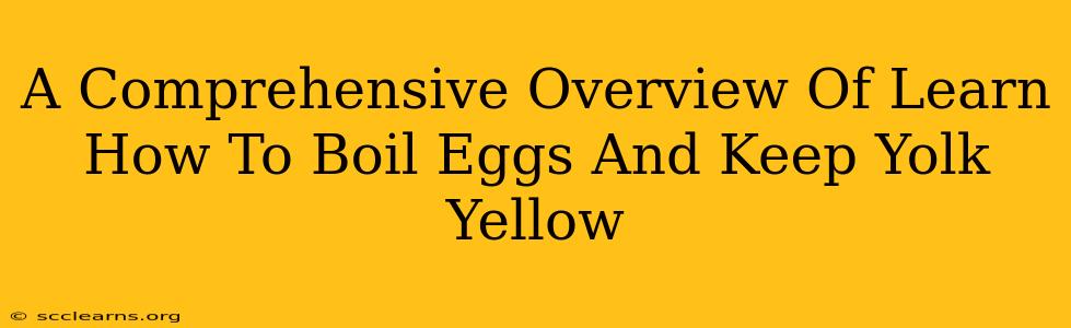 A Comprehensive Overview Of Learn How To Boil Eggs And Keep Yolk Yellow