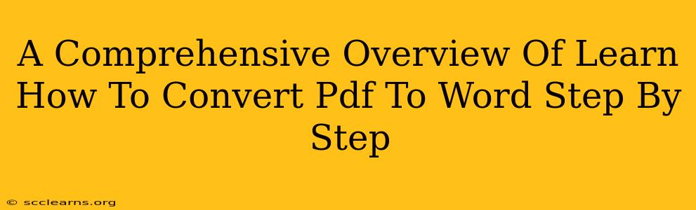 A Comprehensive Overview Of Learn How To Convert Pdf To Word Step By Step