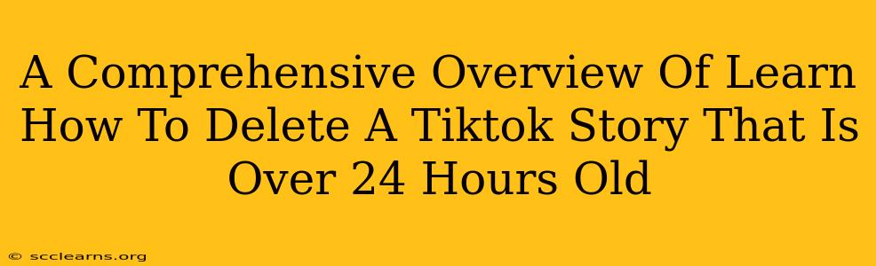 A Comprehensive Overview Of Learn How To Delete A Tiktok Story That Is Over 24 Hours Old