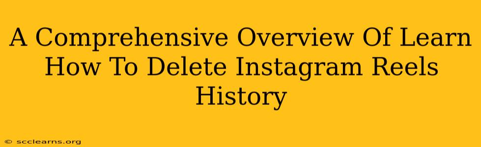 A Comprehensive Overview Of Learn How To Delete Instagram Reels History