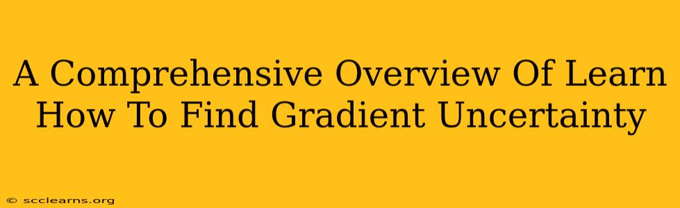 A Comprehensive Overview Of Learn How To Find Gradient Uncertainty