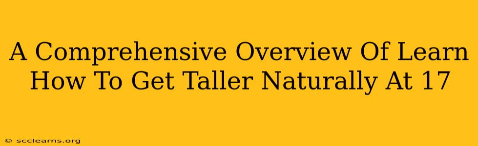 A Comprehensive Overview Of Learn How To Get Taller Naturally At 17