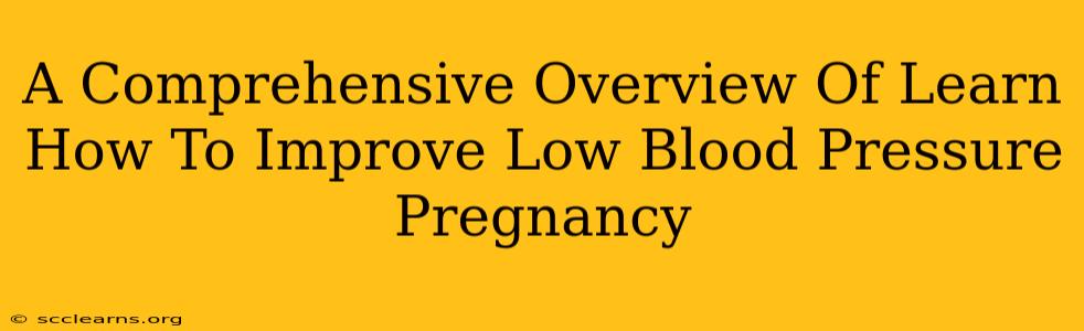 A Comprehensive Overview Of Learn How To Improve Low Blood Pressure Pregnancy