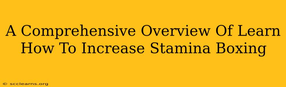 A Comprehensive Overview Of Learn How To Increase Stamina Boxing