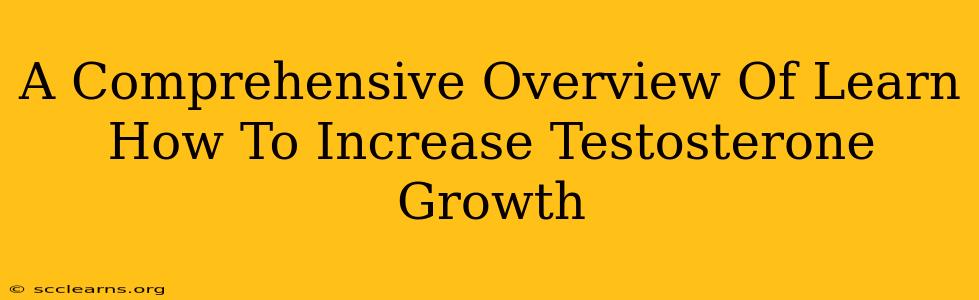 A Comprehensive Overview Of Learn How To Increase Testosterone Growth