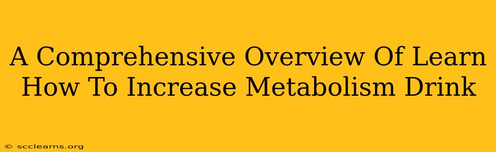 A Comprehensive Overview Of Learn How To Increase Metabolism Drink