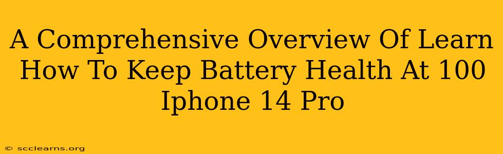 A Comprehensive Overview Of Learn How To Keep Battery Health At 100 Iphone 14 Pro