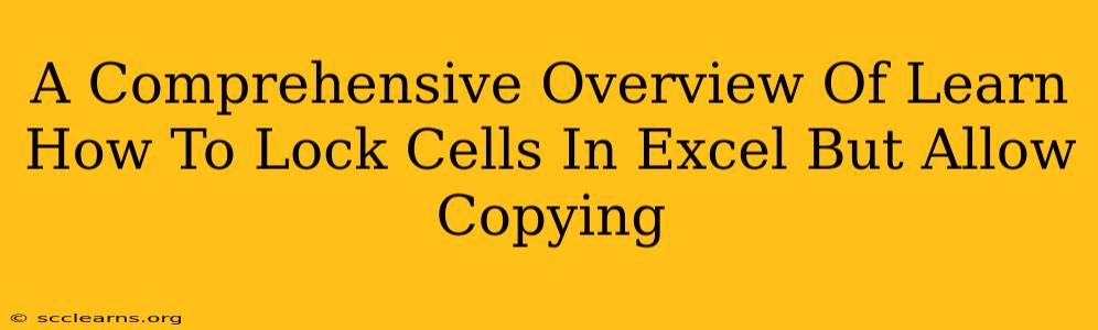 A Comprehensive Overview Of Learn How To Lock Cells In Excel But Allow Copying