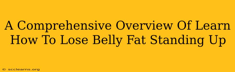 A Comprehensive Overview Of Learn How To Lose Belly Fat Standing Up