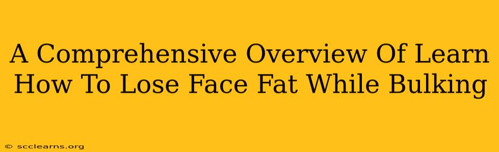 A Comprehensive Overview Of Learn How To Lose Face Fat While Bulking