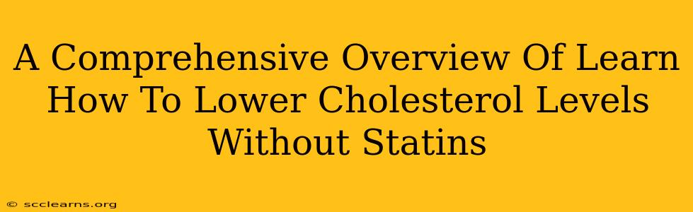 A Comprehensive Overview Of Learn How To Lower Cholesterol Levels Without Statins