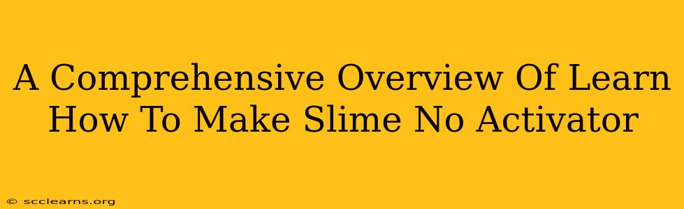 A Comprehensive Overview Of Learn How To Make Slime No Activator