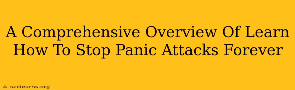 A Comprehensive Overview Of Learn How To Stop Panic Attacks Forever