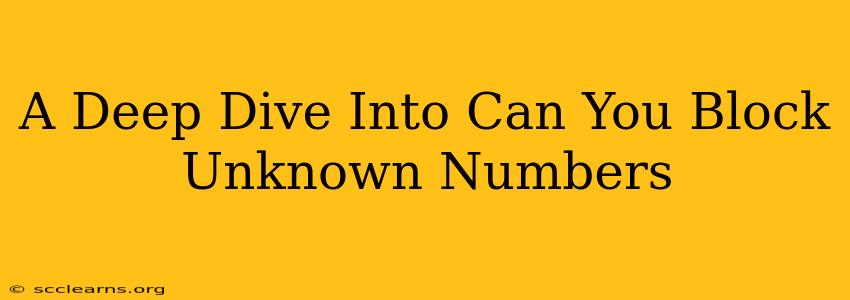 A Deep Dive Into Can You Block Unknown Numbers