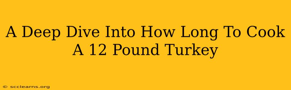 A Deep Dive Into How Long To Cook A 12 Pound Turkey