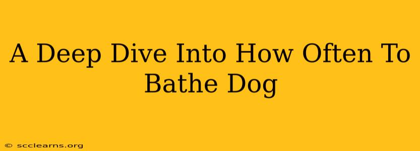 A Deep Dive Into How Often To Bathe Dog